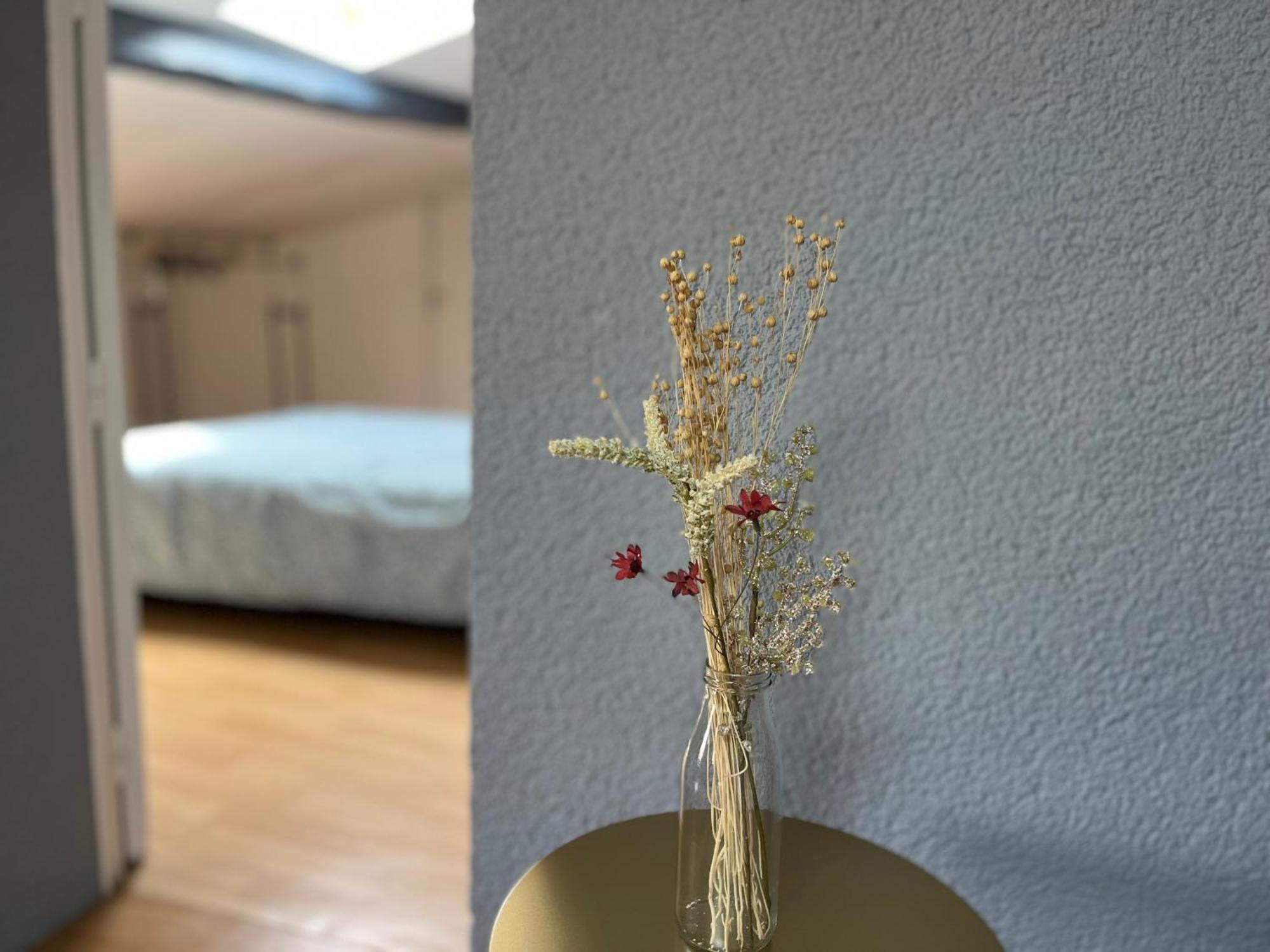 Zen Appartement Centre-Ville Niort Eksteriør billede